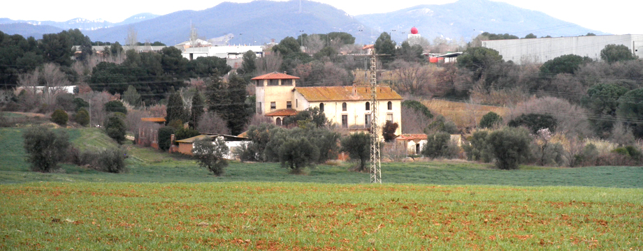 can badiella