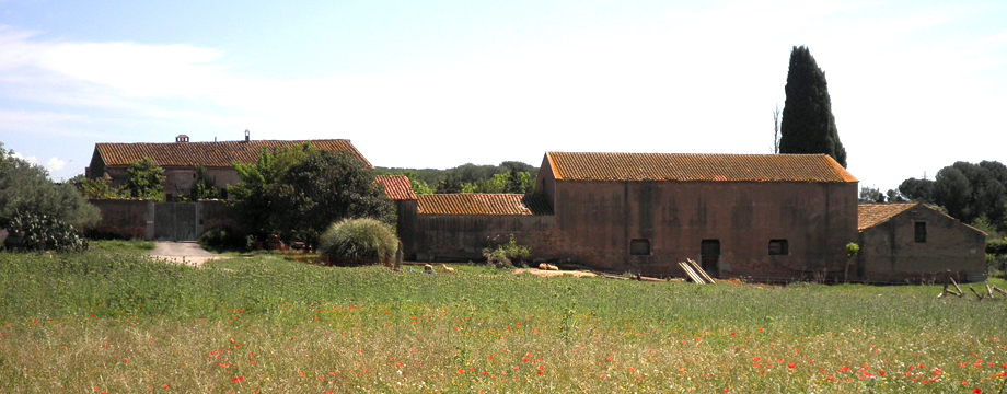 can figueres