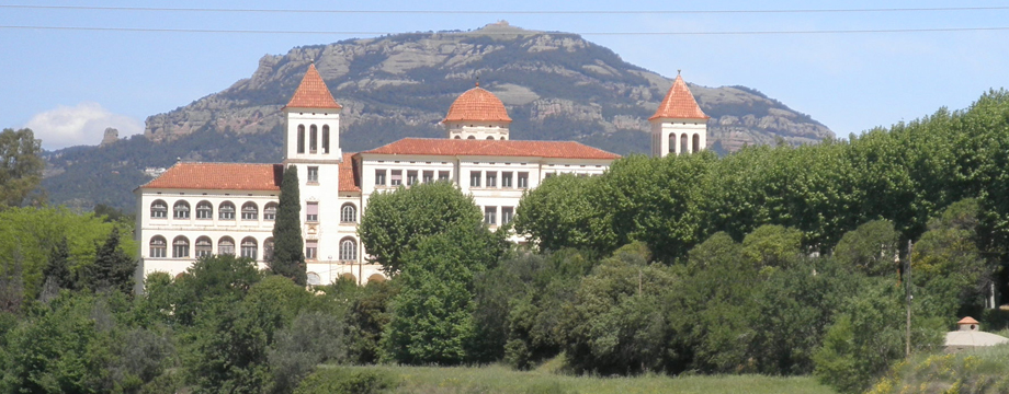 torrebonica